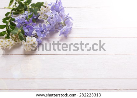 Background with fresh tender blue and white flowers in ray of light on white painted wooden planks. Selective focus. Place for text.