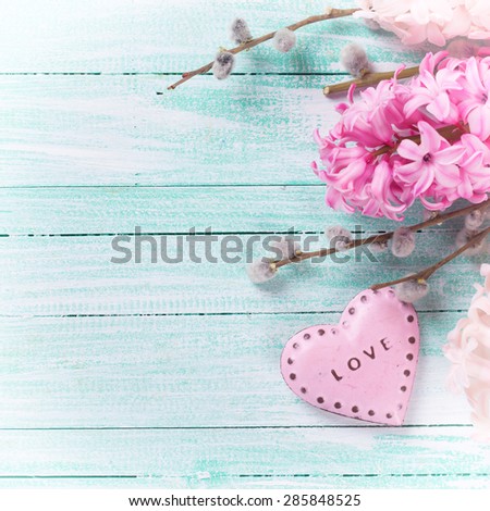 Postcard with fresh pink hyacinths  and  decorative heart  on  turquoise painted wooden planks. Selective focus. Place for text. Square image.