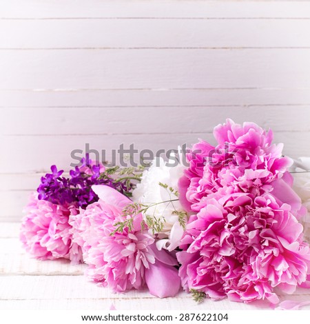 Fresh pink peonies flowers on white painted wooden background. Selective focus. Place for text. Square image.