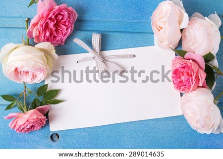 Sweet pastel roses  and empty tag  on blue  wooden background. Place for text. Selective focus.