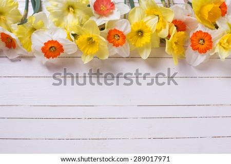 Border from colorful yellow and orange spring flowers  on white  painted wooden planks. Selective focus. Place for text.