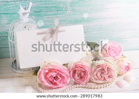 Postcard with sweet roses flowers and empty tag for your text  in ray of light on white painted wooden background against turquoise wall. Selective focus.