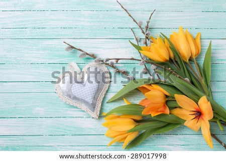 Fresh  spring yellow tulips flowers, willow branches and decorative heart  on turquoise  painted wooden background. Selective focus. Place for text.