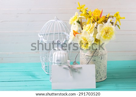 Fresh  yellow daffodils flowers,  candles in decorative bird cages and  empty tag on turquoise  painted wooden planks against white wall. Selective focus. Place for text.