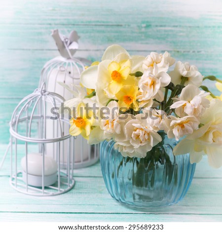 Bright  narcissus flowers in blue vase and candles  on turquoise painted wooden planks. Selective focus. Square image.