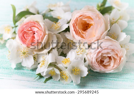 Pastel  roses and jasmine flowers on turquoise wooden background.  Selective focus is  on right  rose. Toned image.