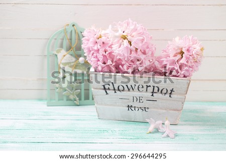 Fresh pink hyacinths flowers in wooden box on turquoise painted wooden background against white wall. Selective focus. Place for text.