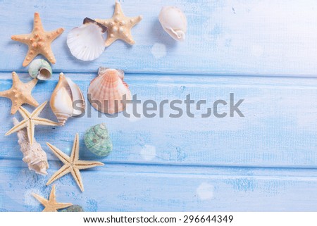 Different marine items  in ray of light on  blue  wooden background. Sea objects on wooden planks. Selective focus. Place for text.