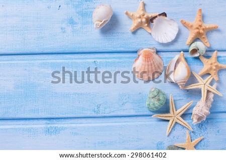 Different marine items on  blue  wooden background. Sea objects on wooden planks. Selective focus. Place for text.