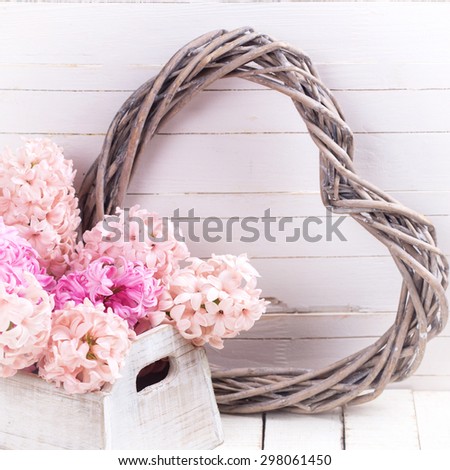 Postcard with fresh hyacinths in wooden box  and  decorative heart  on painted wooden  background. Selective focus.  Square image.