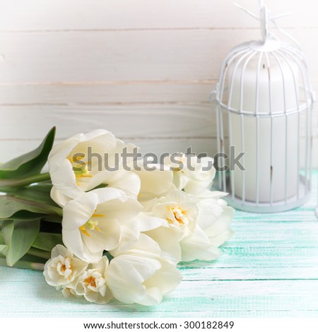 Postcard with fresh spring flowers  tulips and daffodils and candles on turquoise painted planks against white wall. Selective focus. Square image.