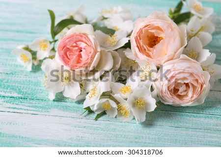Pastel  roses and jasmine flowers on turquoise wooden background.  Selective focus is  on right  rose.