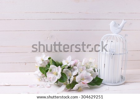 Postcard with tender apple blossom and candle in decorative bird cage on white painted wooden background. Selective focus.
