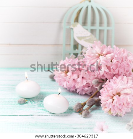 Background  with hyacinths,  willow flowers and candles on turquoise painted wooden planks against white wall. Selective focus and empty place  for your text. Square image.