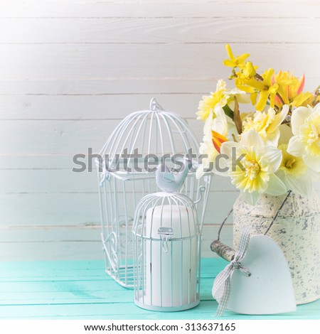 Fresh  spring yellow daffodils flowers, candle in decorative bird cage and heart on turquoise  painted wooden planks against white wall. Selective focus. Place for text. Square image.