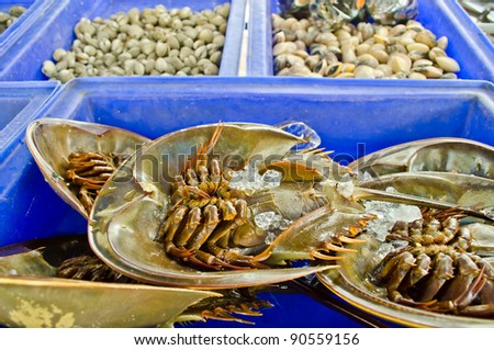 fresh horseshoe crab in market of Thailand