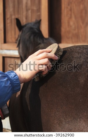 Hand With Brush Over Horse Back. Preparation For A Ride.