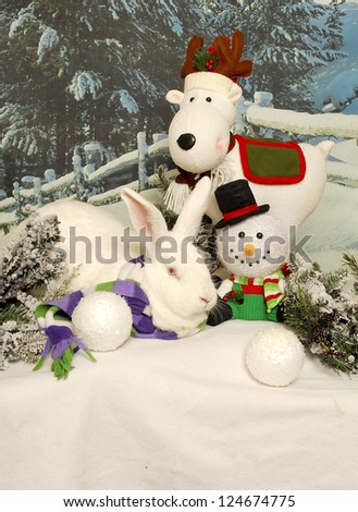 A large white rabbit huddles between a snowman and reindeer ornaments.
