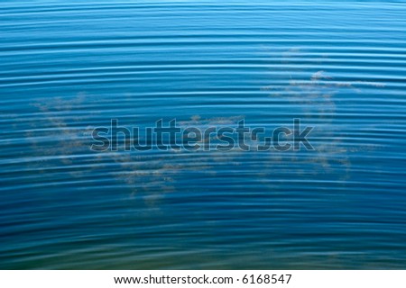 surface of  blue deep water with ripples and appearing water plants