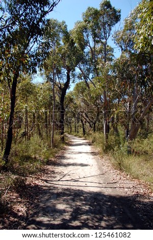 Ku-ring-gai Chase National Park. Mont Kuring-gai track. Tracking in Australia, New South Wales.