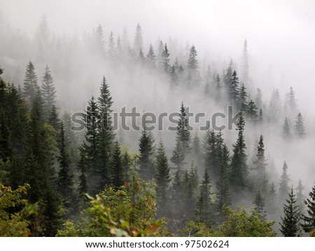 Similar – Image, Stock Photo Fog in the mountains of the Dolomites III