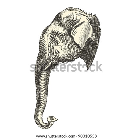 Elephant head – vintage engraved illustration – “Cent récits d’histoire naturelle” by C.Delon published in 1889 France