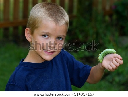 Cute young boy holding a giant silk worm caterpillar, Cecropia Moth, Hyalophora cecropia