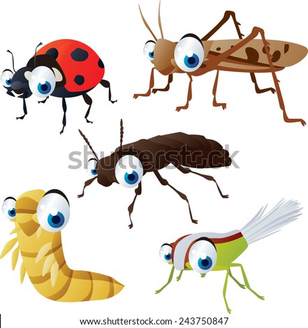 vector isolated cartoon cute animals set: insects: ladybug, locust, mealworm, xylodromus, planthopper