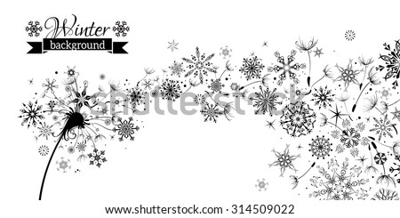 Winter and Summer. Winter Dandelion Background. Black flying dandelion fluffs and snowflakes on white background. There is place for your text. 