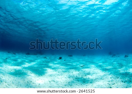 Wide view underwater with sand and surface. Bonaire