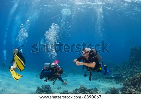 Scuba diving group