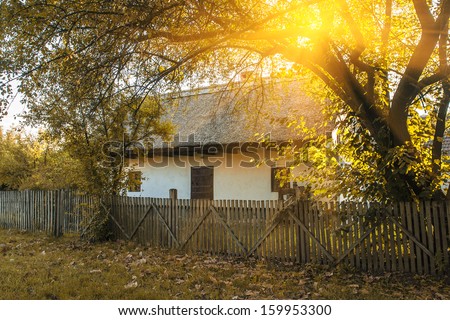 Little house in autumnal forest