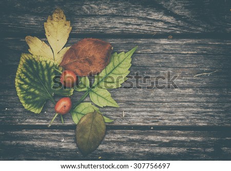 Autumn background on wooden desk. Vintage filtered photo.