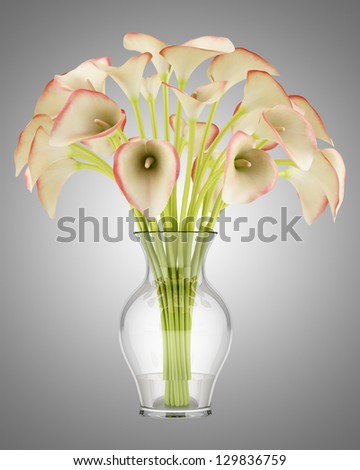 bouquet of calla lilies in glass vase isolated on gray background