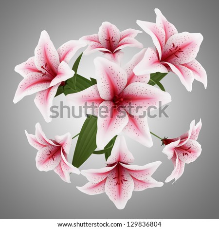 top view of bouquet of pink lilies isolated on gray background