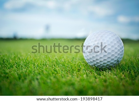 golf ball on a green meadow