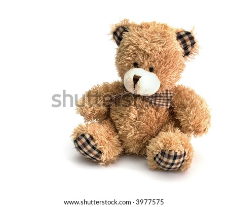 teddy bear on white background with copyspace