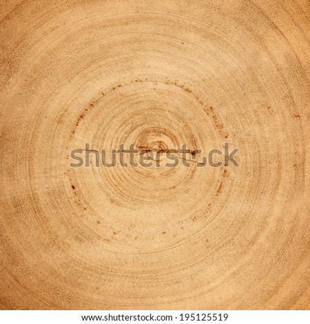wood rings texture background