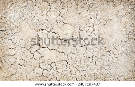Similar – Image, Stock Photo Cracked earth in the top view for the background or graphic design with the concept of drought and death.