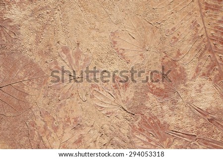 marks of leaf on the concrete background