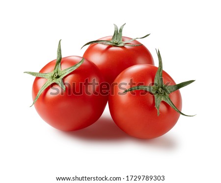 Angled shot of a tomato placed on a white background