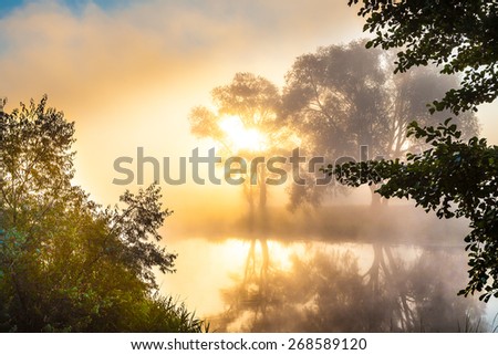 Misty dawn and silhouettes of the trees by a river