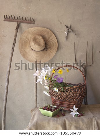 Still life of old garden tools, baskets of flowers and cherries