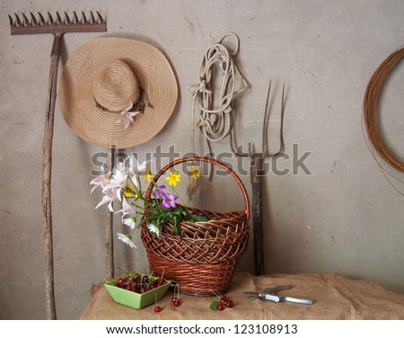 Still life of old garden tools, baskets of flowers and cherries