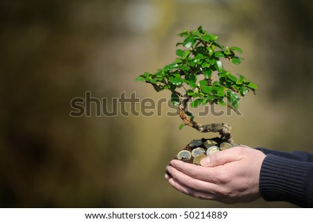 Holding a money tree in the palm of your hand.