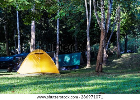 Yellow dome tent in forest park camping