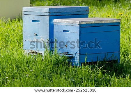 Agricultural landscape - Two bee hives in the apiary