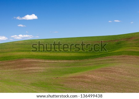 Freshly Planted Fields and Rolling Hills