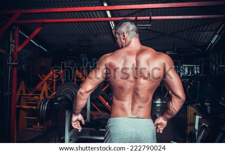 Muscled male model showing his back