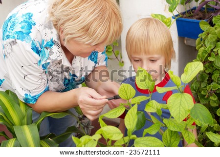 The grandson and grandmother Studying a plant